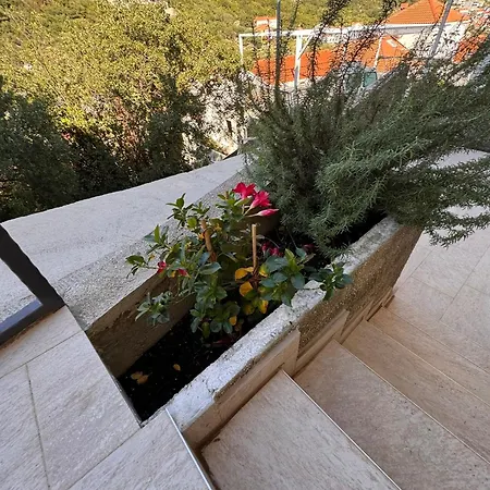 Apartament Adriatic Escape 2 *