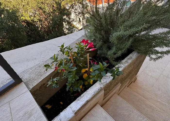 Апартаменты Adriatic Escape 2 *